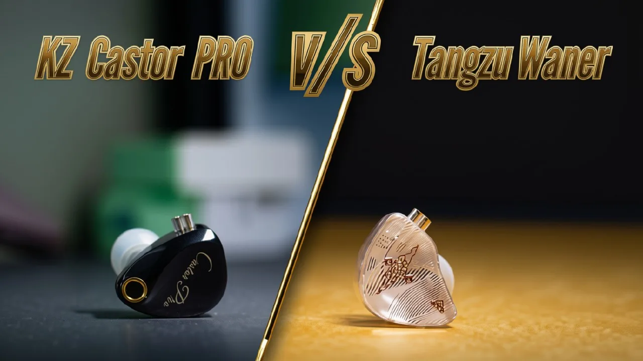 KZ Castor Pro vs Tangzu Wan’er SG